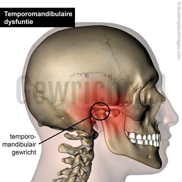 Temporo-mandibular joint