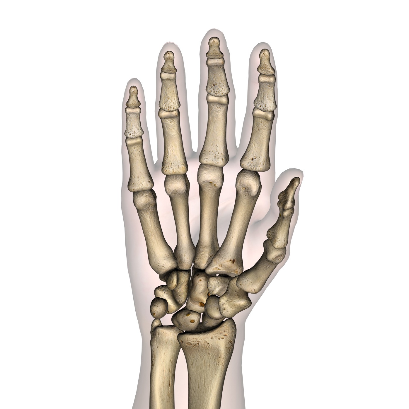 hand