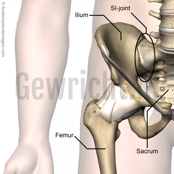 hip-si-joint-sacroiliac-ilium-sacrum-femur-front-skin-names